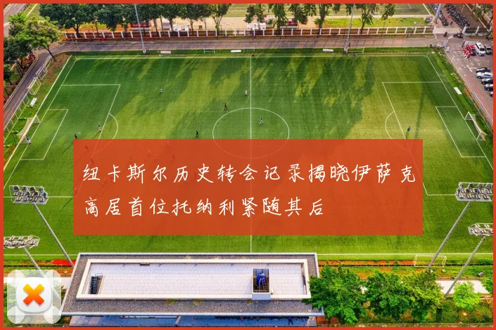 纽卡斯尔历史转会记录揭晓伊萨克高居首位托纳利紧随其后